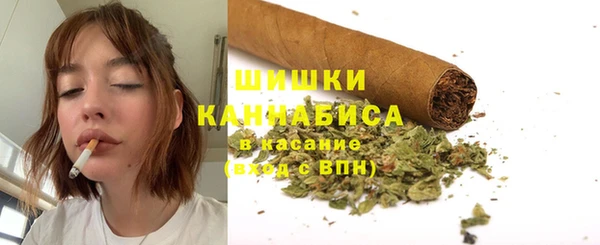 2c-b Бородино