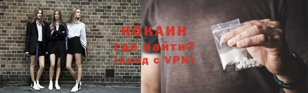 2c-b Бородино