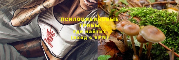 стафф Бугульма