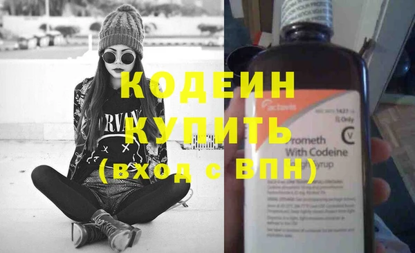 2c-b Бородино